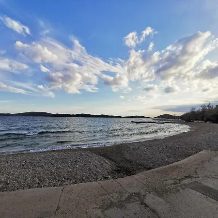 Roza Vodice