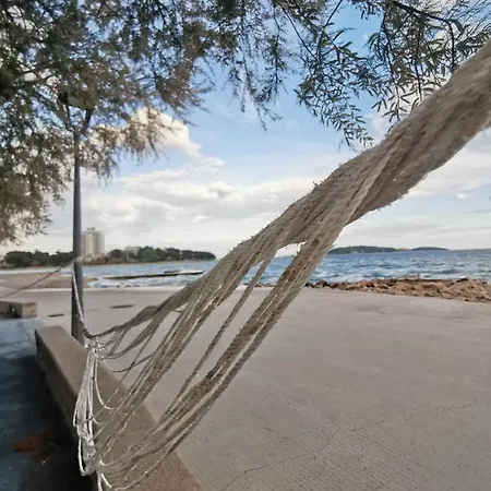 Roza * Vodice